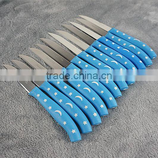51010 12PCS STAINLESS STEEL fruit Knife Set