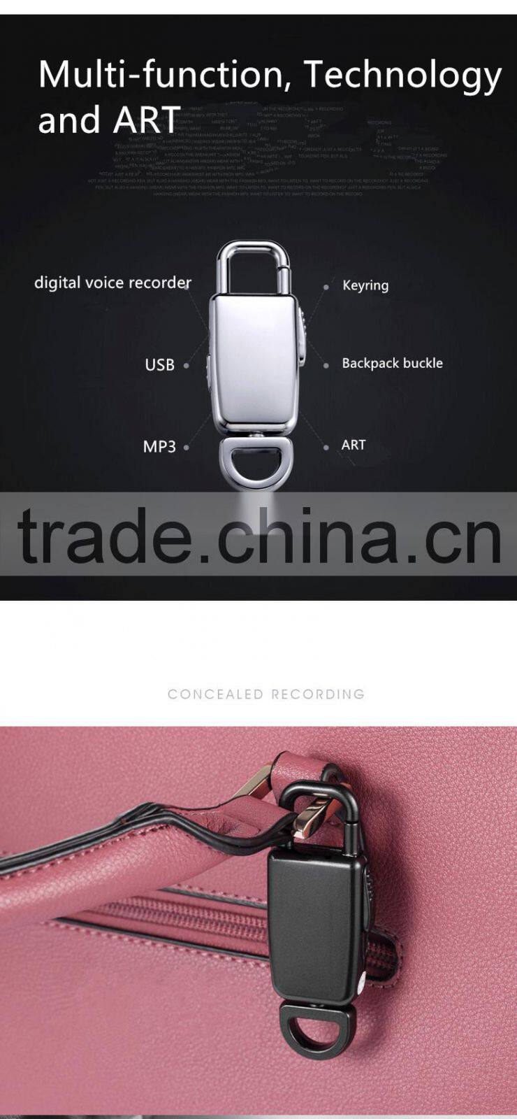 Voice Recorder Digital 8gb Audio Dictaphone Mp3 Player Usb Rechargeable Spy New