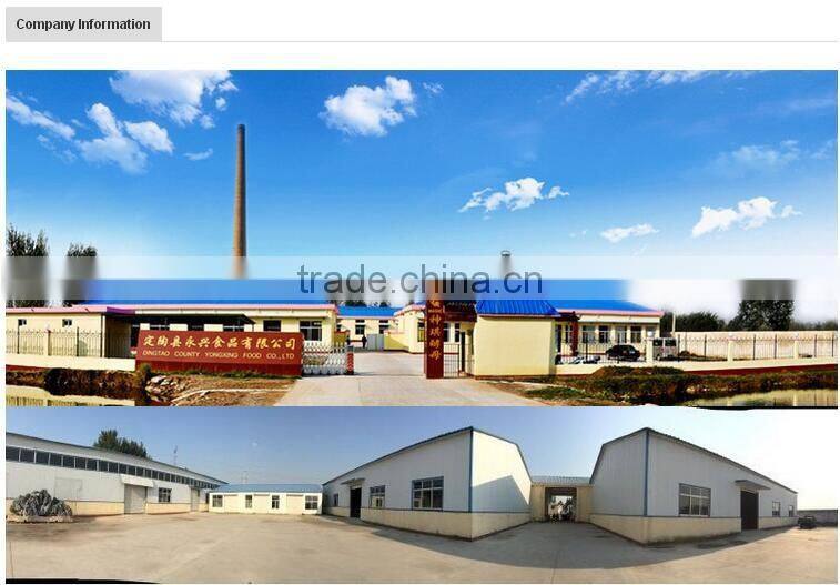 Best Selling MAGIC Ginger Tea Lowest Price