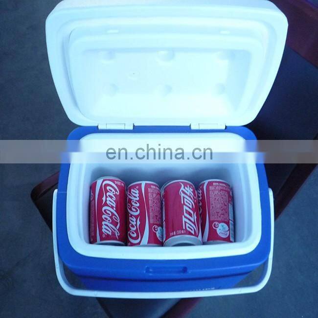 10L Car Cooler/Warmer Fridge Plastic Box for Picnic
