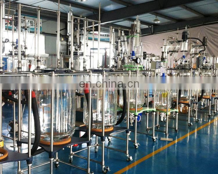 10L 20L Agitator Reactor Tank glass lab reactor vessel