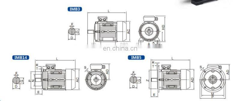 MS series 1.5hp electric motor 220v
