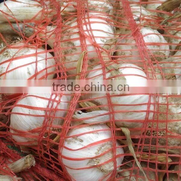 4.5cm pure white garlic China export garlic 10kg carton packing