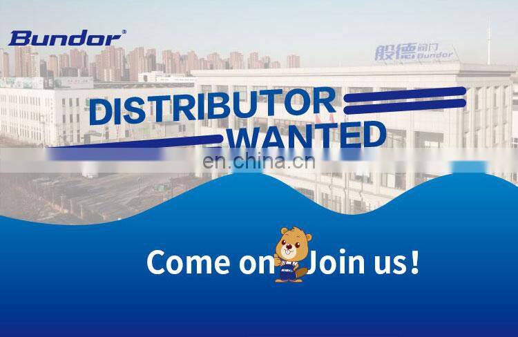 Bundor 6 Inch 3 inch pn16 pn25 forged steel carbon steel rising stem Water Gate Valve Manual Slide Gate Valve