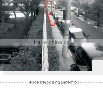 intelligent cctv system with video analytics,wireless video server
