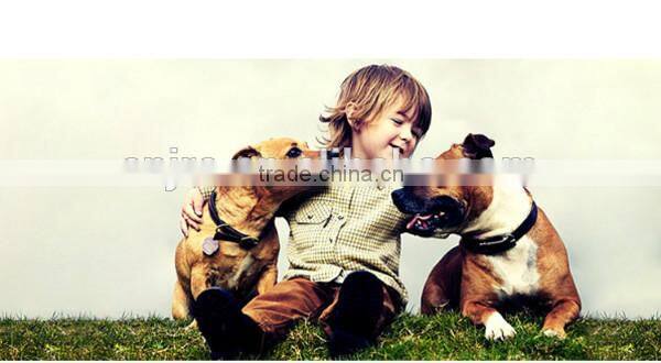 knitted heart logo ribbed turtleneck pet dog sweater