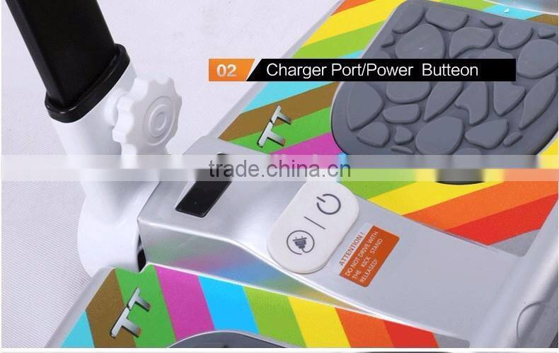Big Two Wheels Self Balancing Electric Scooter