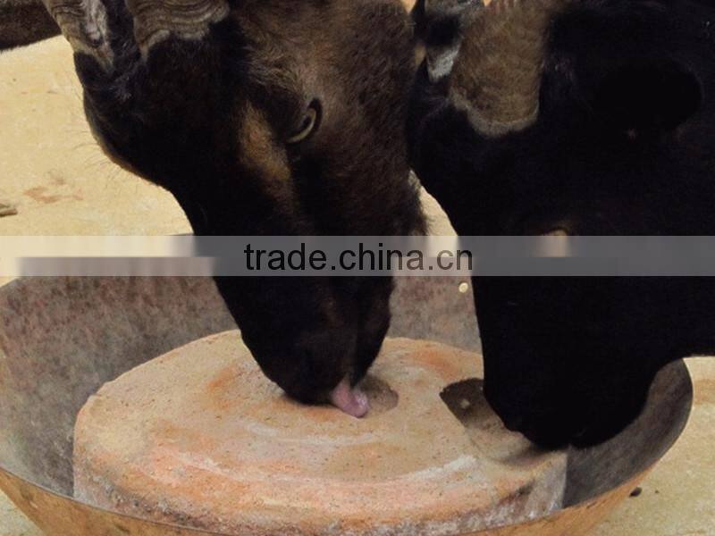 where to buy the high quality mineral salt block machine