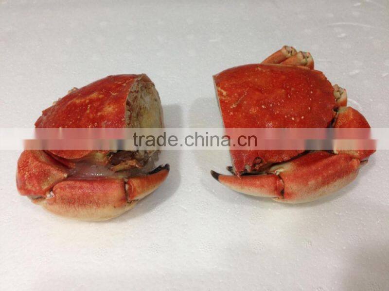 EDIBLE CRAB, RED STONE CRAB