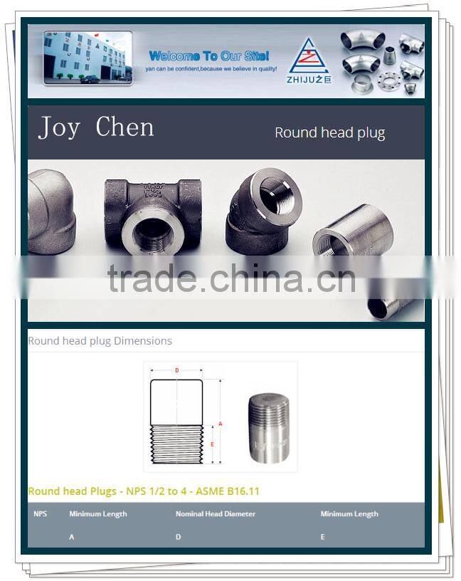 21/2 " Threaded NPT Round Head Plug Pipe Male Female Plug