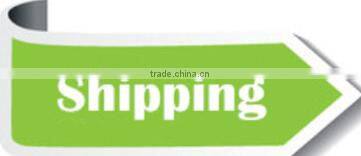 12V 1A travel adapter one port power supply