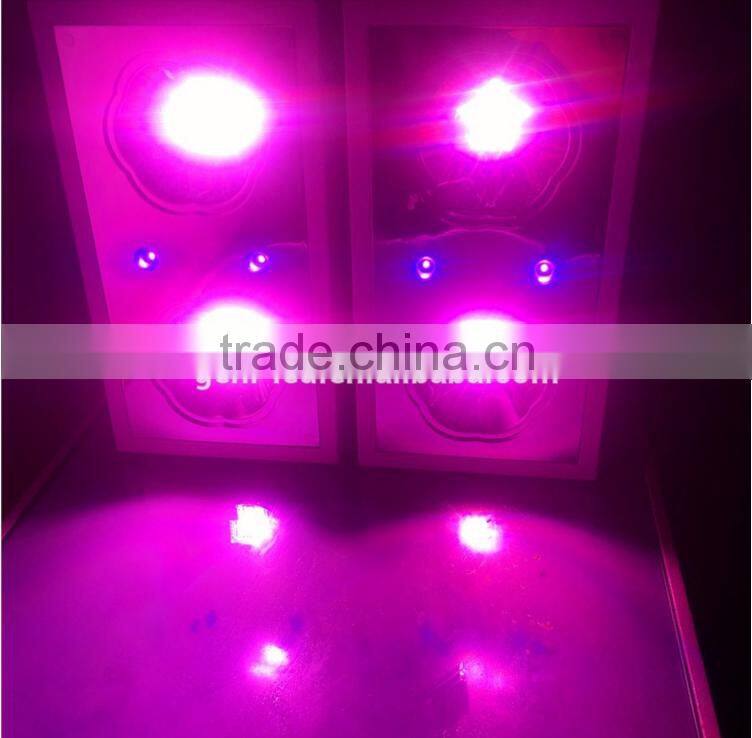 Alibaba express UV Zeus led grow light 300W for tiny houses