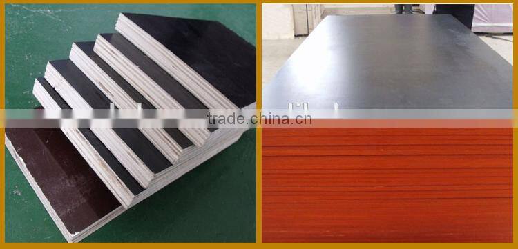 Waterproof film faced plywood for construction plywood concrete formwork