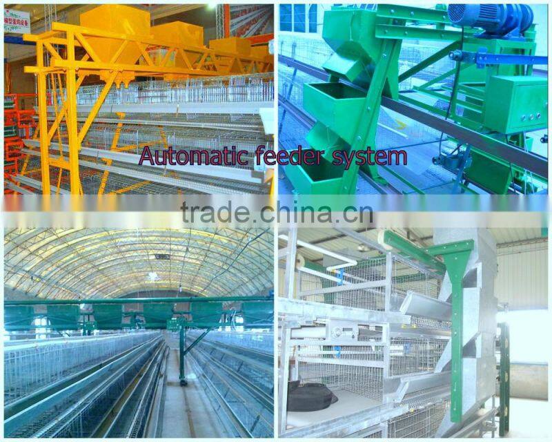 Africa Market Nigeria Farm Use Best Price Pullet Rearing Cage for one day old chicks