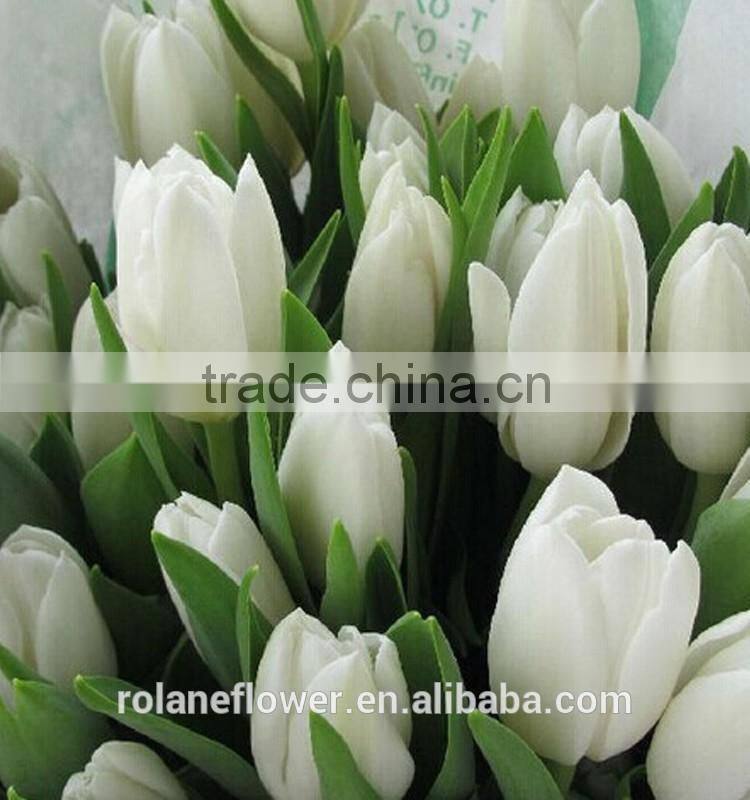 2016 high quality beautiful cut white tulip flower from kunming