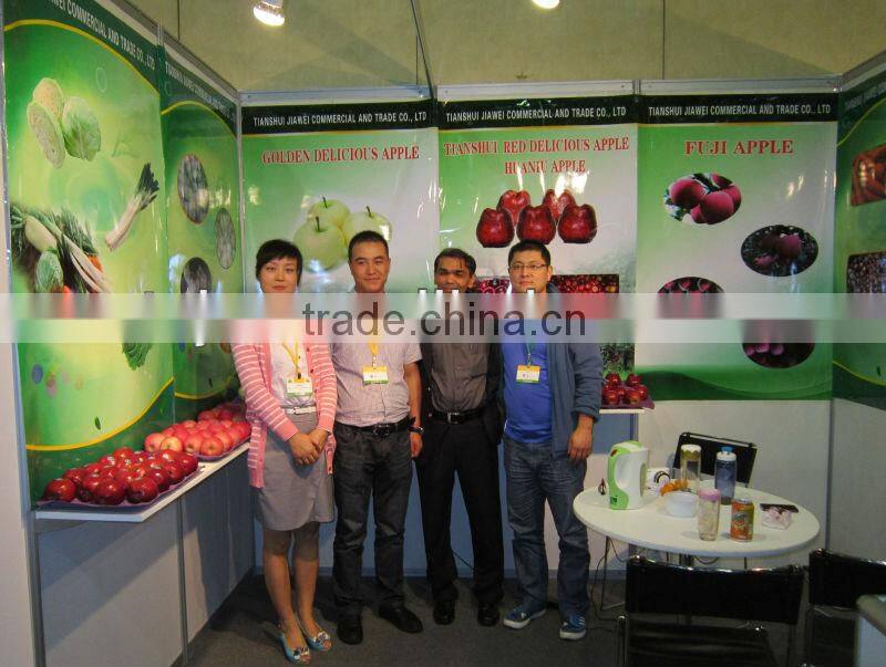 shandong new garlic price of sale