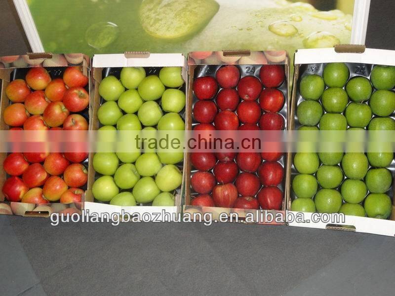 Different Sizes Free Samples Food Plastic Tray Packaging