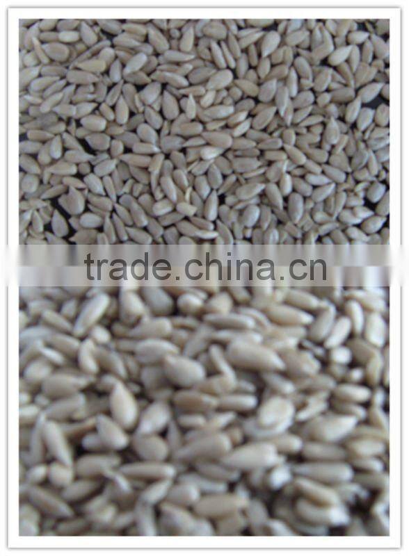 Sunflower Seeds Kernels for birdfood