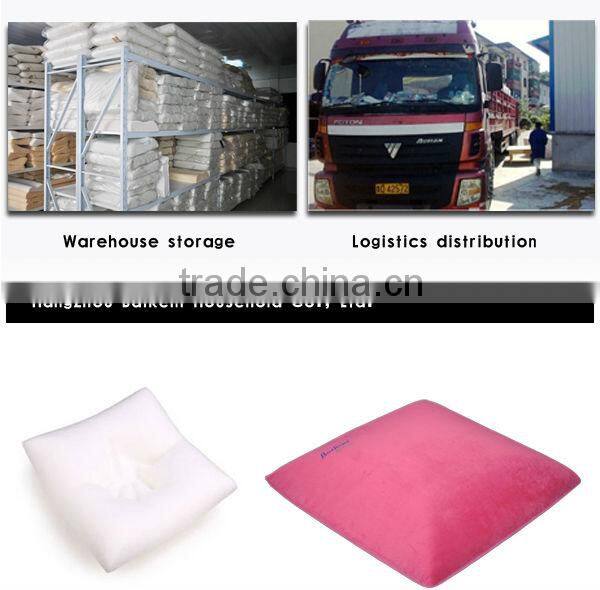 Decorative Throw Pillows Sofa Cushion