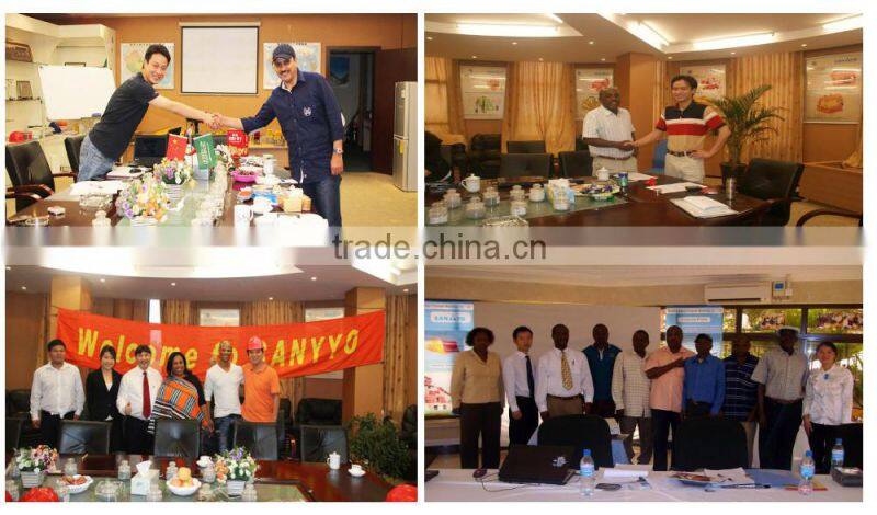 SANYYO calcite dolomite bluestone impact crusher price CE ISO stone crushing machinery PF1516