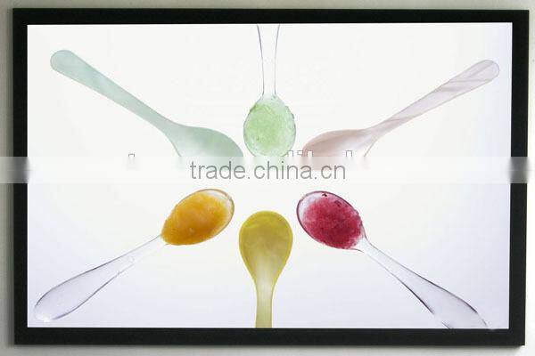 Home use 150 inch Fixed Frame projection Screen 120" fixed screen