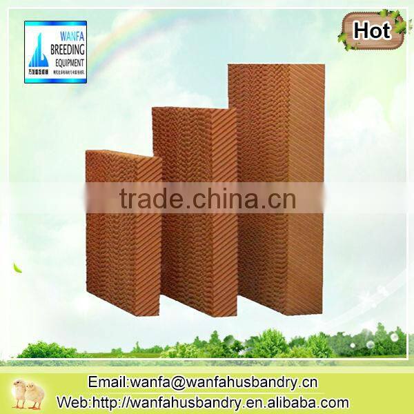 new style automatic chicken feeding system