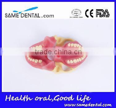 NISSIN Anesthesia extraction model school teaching demonstration