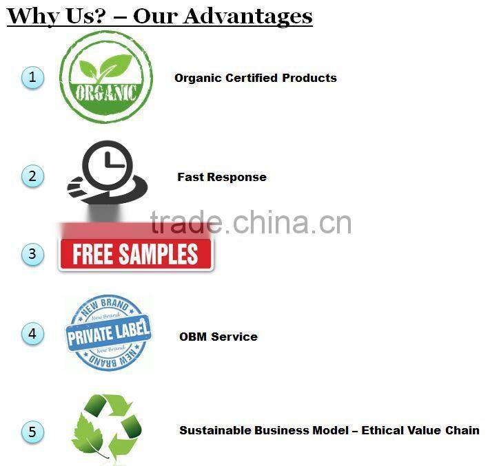 Organic Mango Fruit Bar