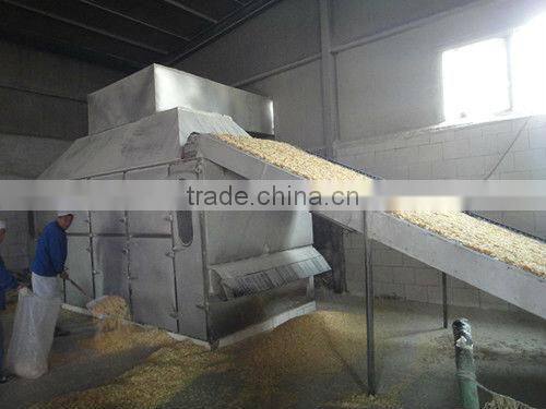 100% pure 12% max moisture dehydrated dried chilli flakes