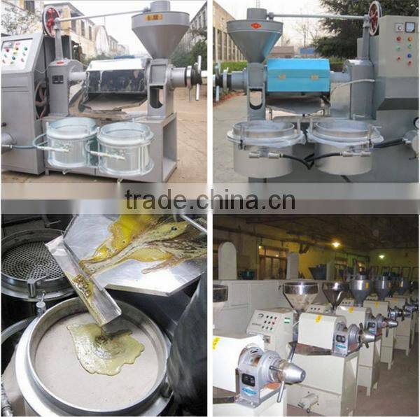 Factory price almond oil making machine/almond oil expeller