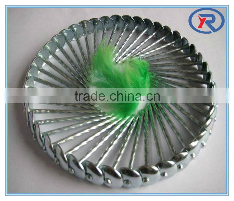 china Roofing Nail with Washer/Umbrella Roofing Nails