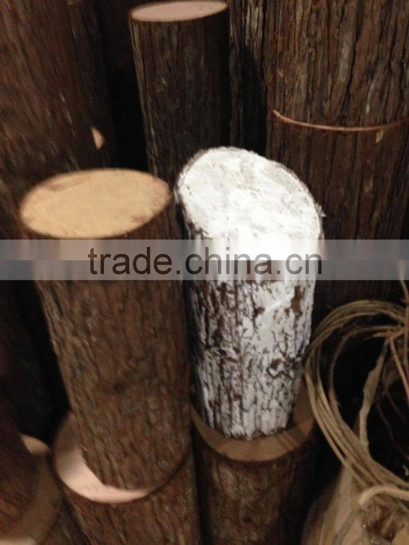 Decorative Tree Trunk Tree Log