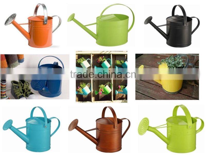 Mini Metal Watering Can