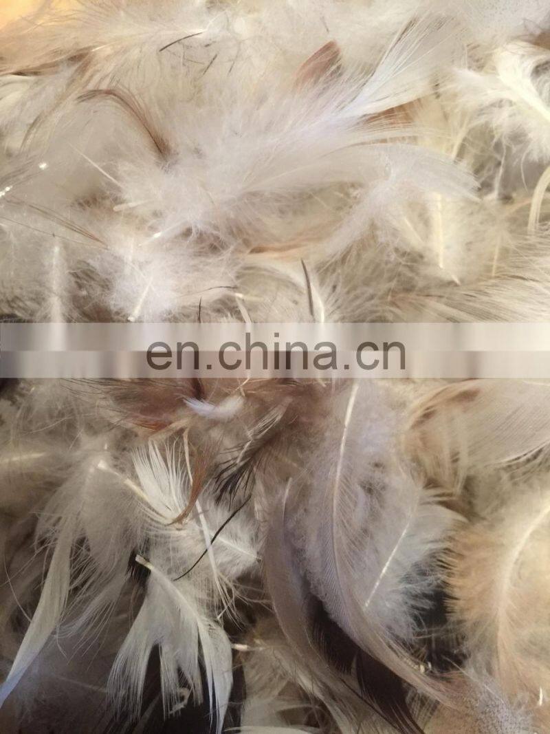 25/75 Down Feather Bolster Pillow Form