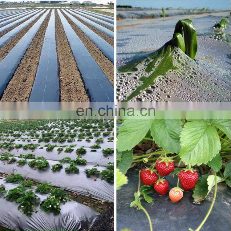 High quality customized ldpe film for covering greenhouse