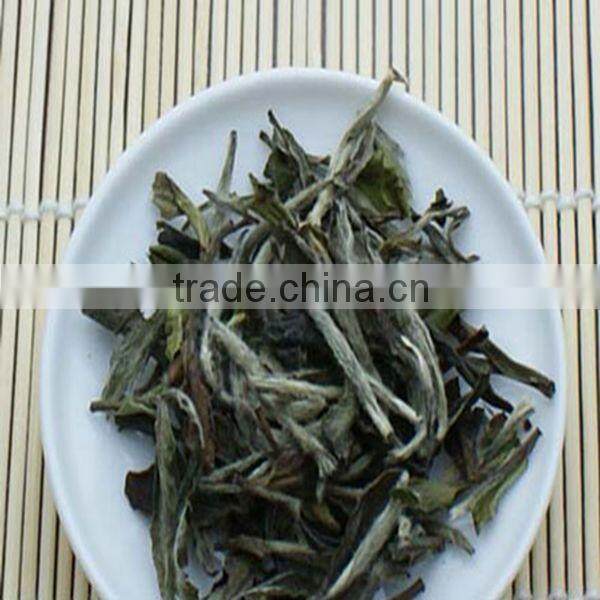 White peony white peony king