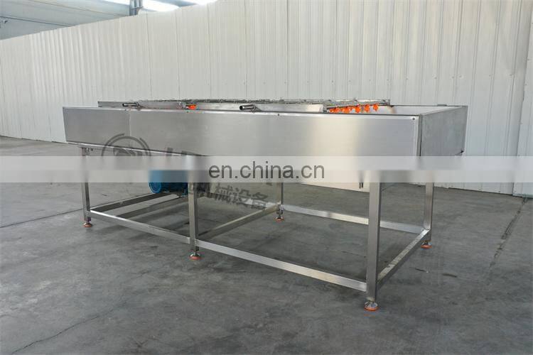 Factory Price Automatic Fruit Vegetable Apple Potato Tomato Orange Avocado Onion Washing Machine