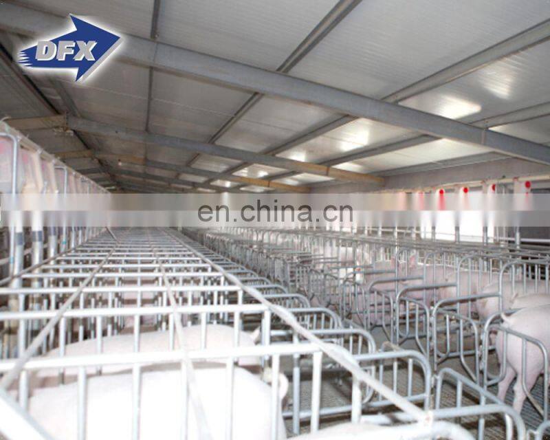 China well design prefabricated light steel structure feeder pig farming barn shed with equipments