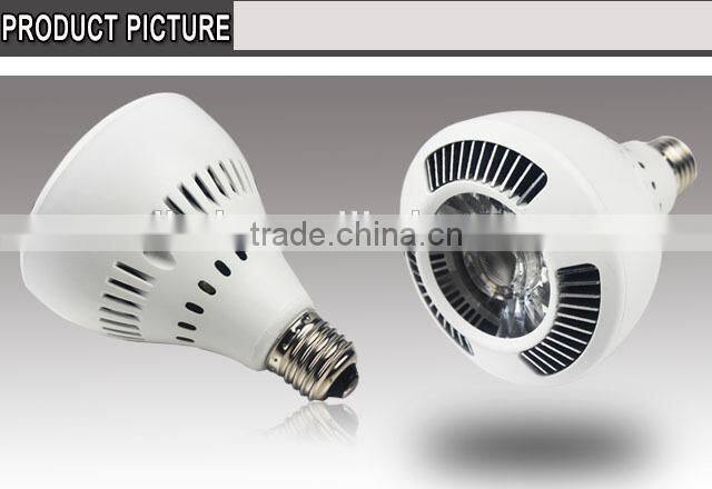 high efficiently COB led par30 screw Tracking Light