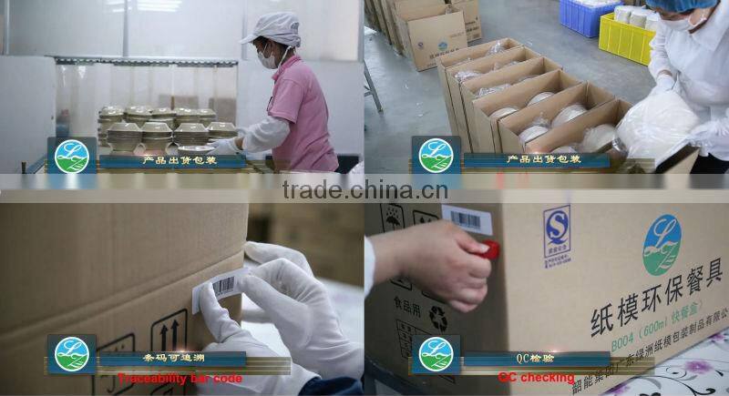 Biodegradable sugarcane bowl in food packaging