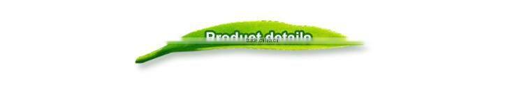Japanese Standard vacuum packed eucommia tea with slim