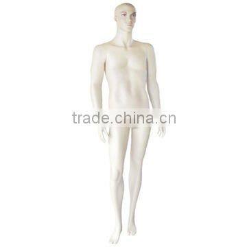 Reasonable price plastic half body mannequin/Newly half body mannequin/Muscle male torso mannequin