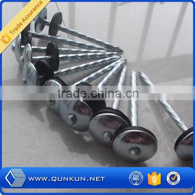 45# carbon steel concrete nail groove shank