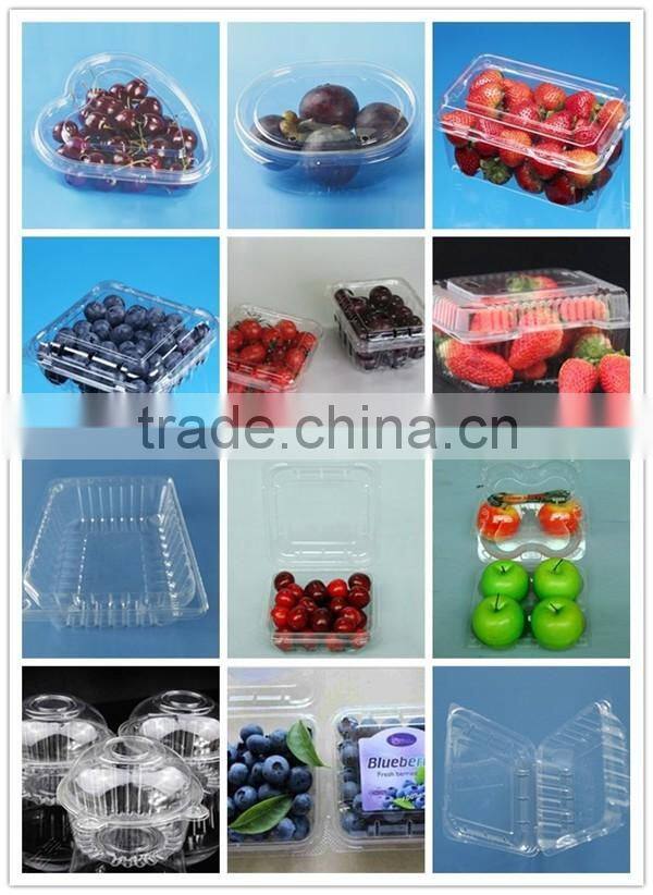 2015 best selling plastic clear strawberry packaging box