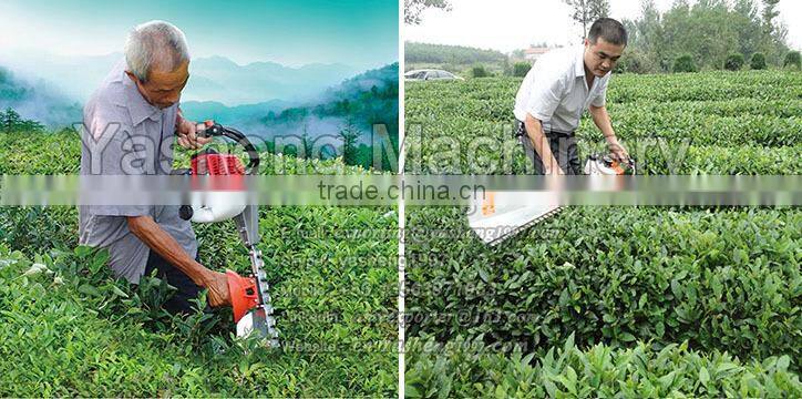 2-Stroke Feature and Petrol Power Type Tea Trimmer