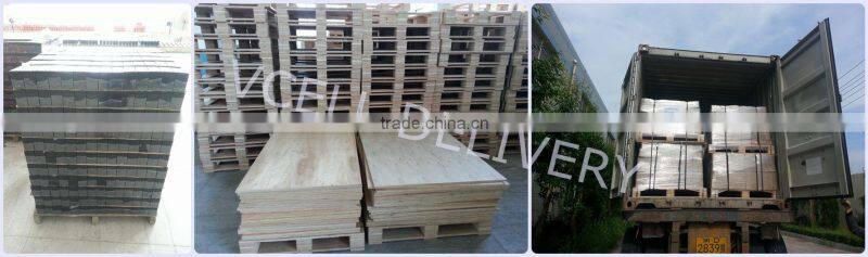 Valve Regulated Lead Acid Battery 12v