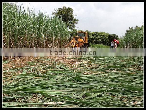 Small harvesting machine labor saving sugarcane harvester SH15 for whole stalk harvest