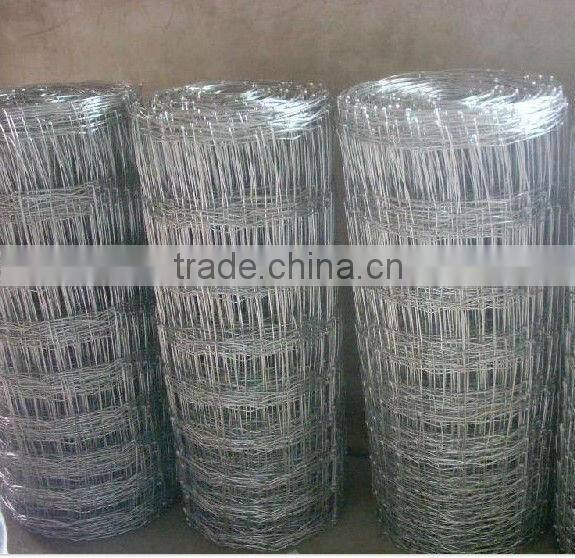 ISO 9001 stainless steel field fence