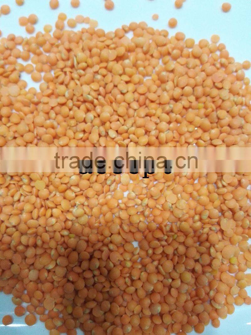 world top Lentils Sorting Equipment by Color! Farming Machine for Lentils!