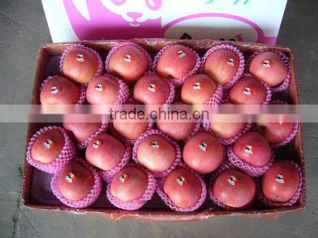 wholesale Price Fuji Apple